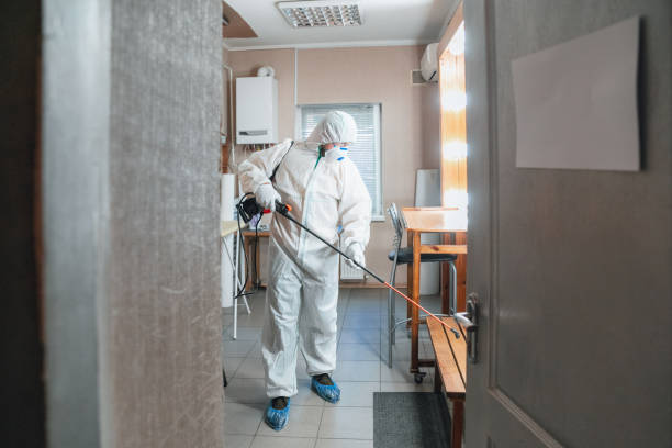  Elizabeth, PA Mold Removal Pros