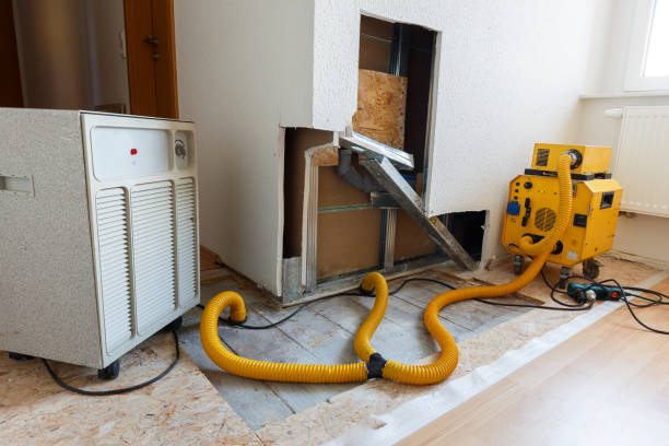 Mold Remediation for Rental Properties